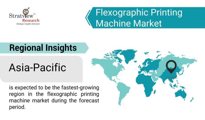 Flexographic-Printing-Machine-Market-Regional-Insights